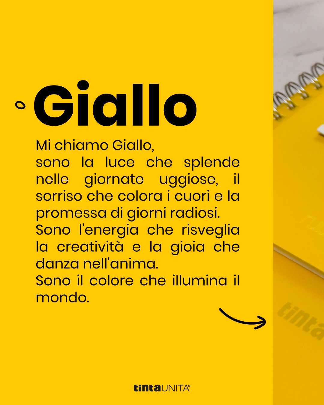 TU PaletteGIALLO