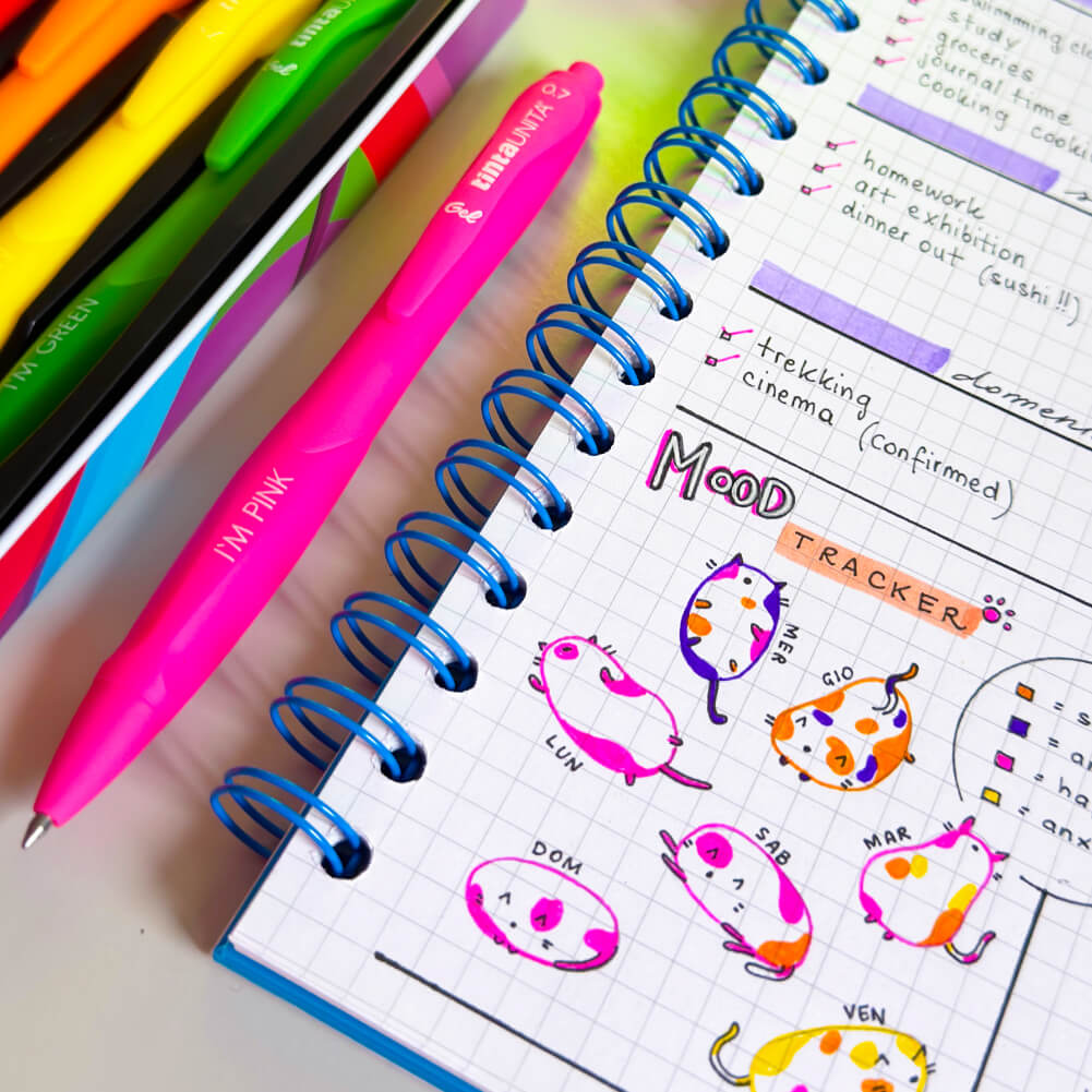 tintaUNITA BulletJournal intro info