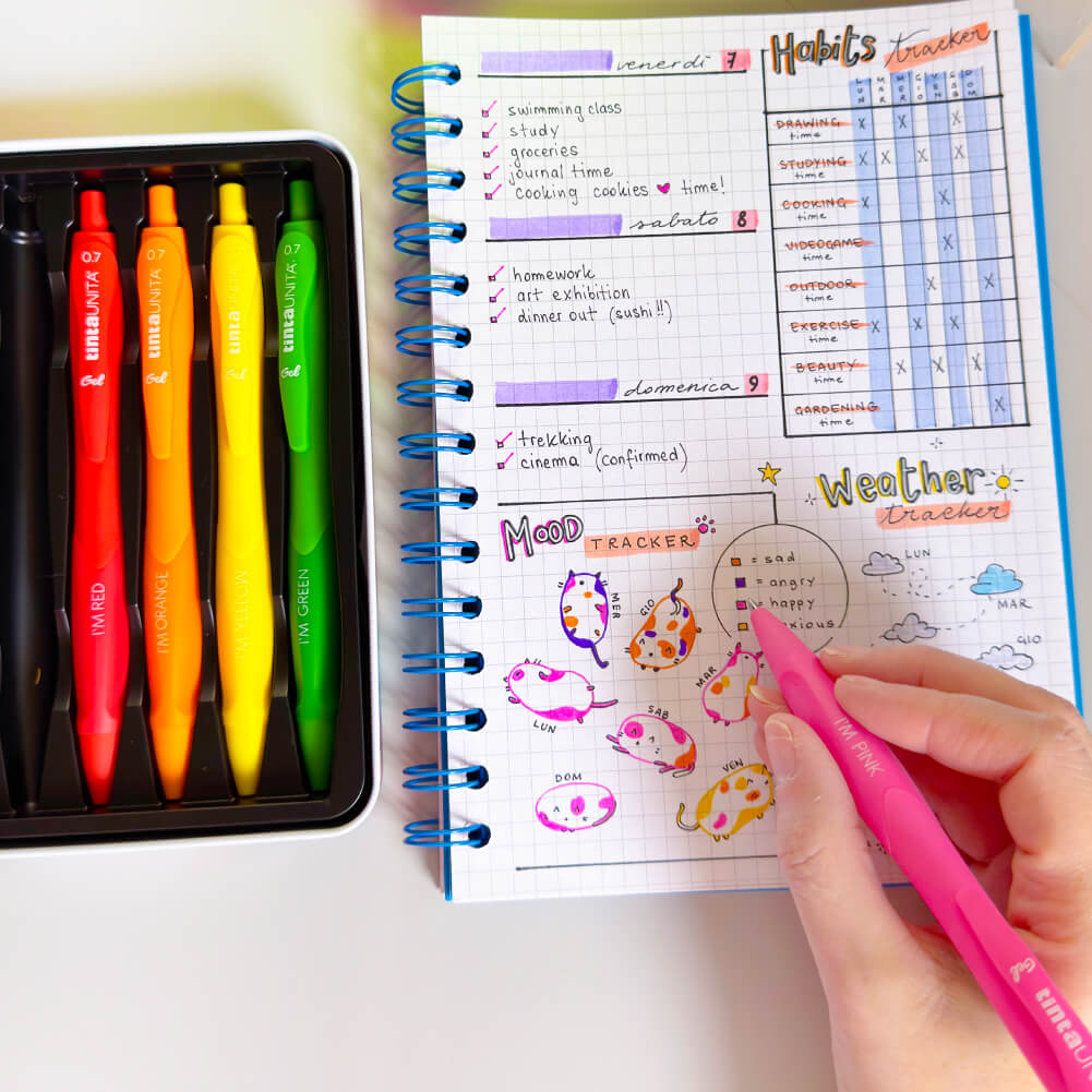 tintaUNITA BulletJournal intro info